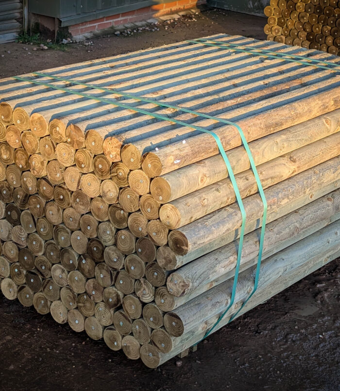 PXL_20251212_150836171.RAW-01.COVER PXL_20251212_150836171.RAW-01.COVER