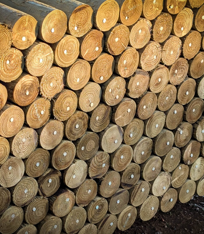 PXL_20251212_150847207.RAW-01.COVER PXL_20251212_150847207.RAW-01.COVER