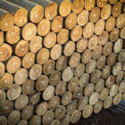 PXL_20251212_150847207.RAW-01.COVER