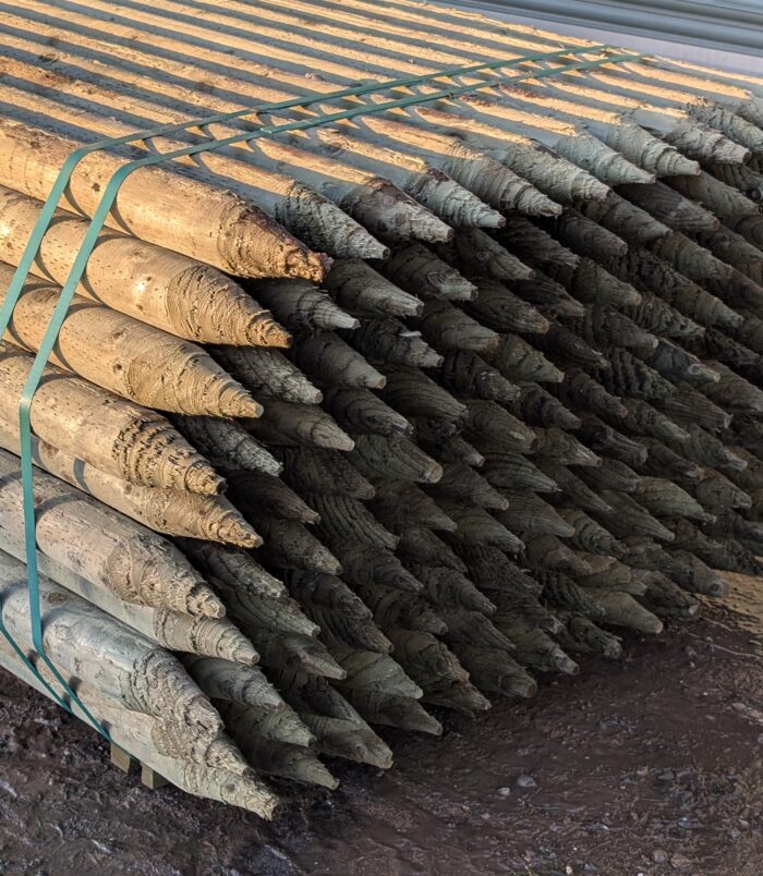 PXL_20251212_150904021.RAW-01.COVER PXL_20251212_150904021.RAW-01.COVER