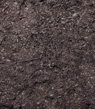 Compost - General Purpose