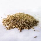 grass-seed-2-web.jpg