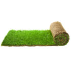 turf-turfworld-turf-roll-buy-turf.jpg