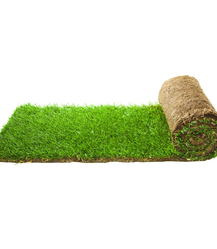 turf-turfworld-turf-roll-buy-turf.jpg