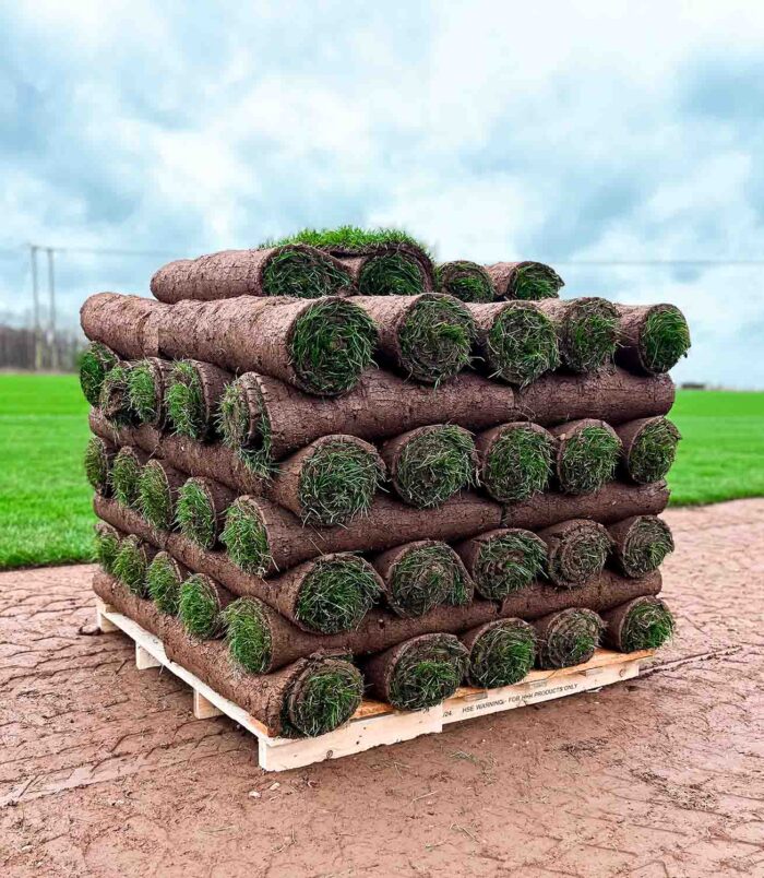 turf-turfworld-turf-roll-buy-turf-field-pallet-of-turf.jpg