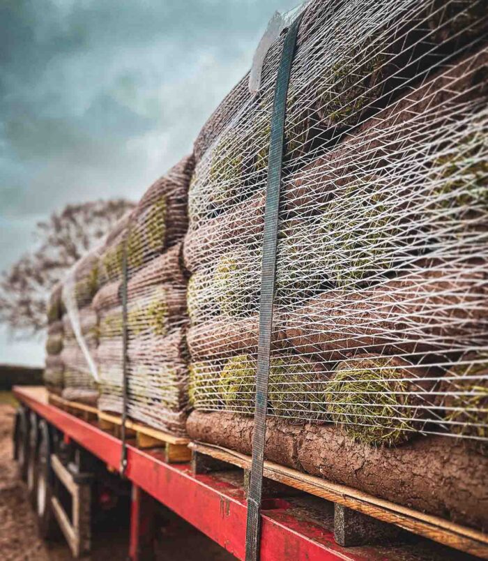 turf-turfworld-turf-roll-buy-turf-field-pallet-turf-lorry.jpg