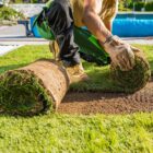 turf-turfworld-turf-roll-buy-turf-laying-turf.jpg