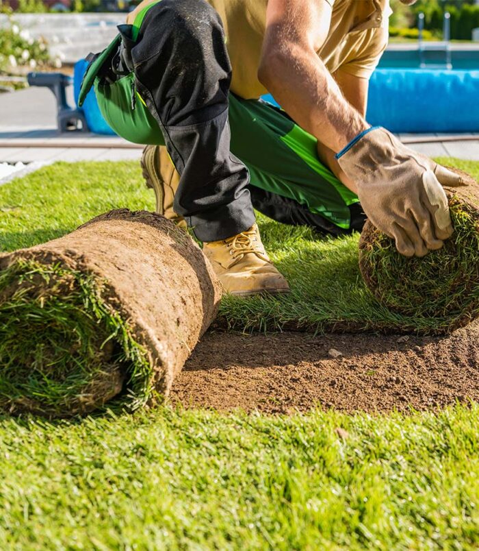 turf-turfworld-turf-roll-buy-turf-laying-turf.jpg